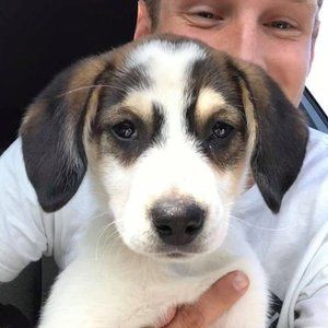 Meet your Posher, Max